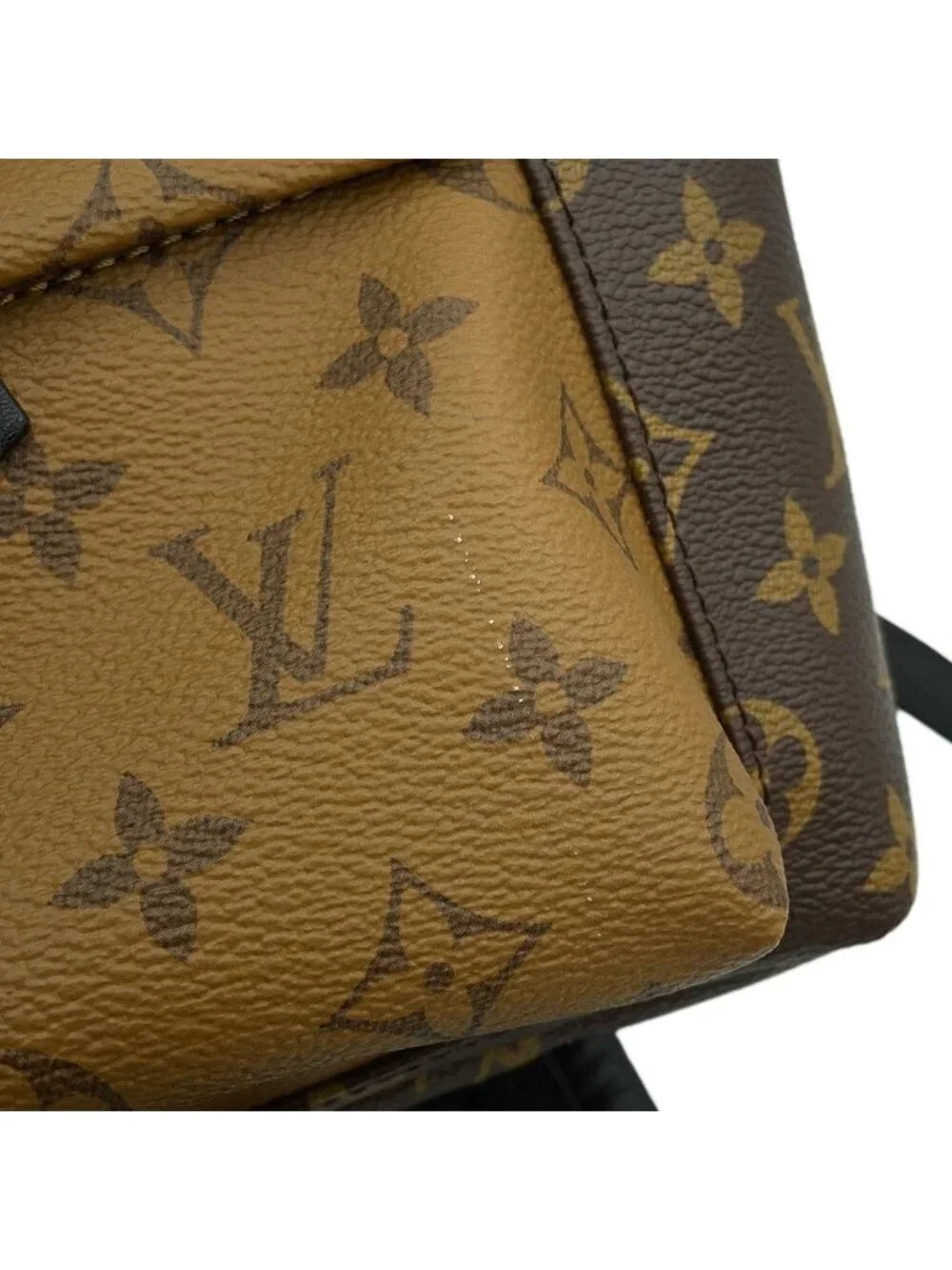 Louis Vuitton Backpack Monogram Reverse Palm Springs PM Black